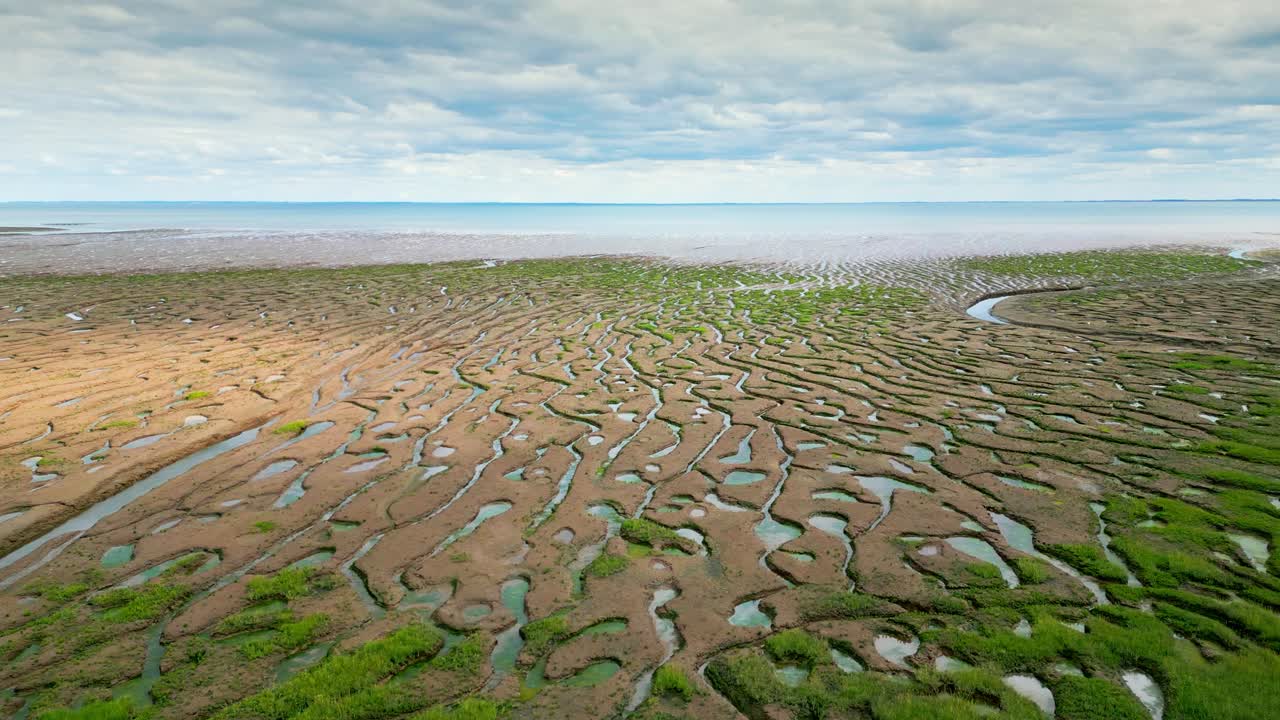 трещины в грязевых плоскостях в соленом болоте