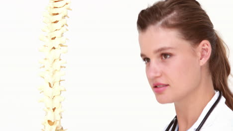 médico feliz con el modelo de columna vertebral