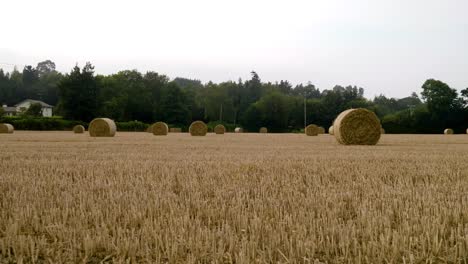 walking towards bales on the field