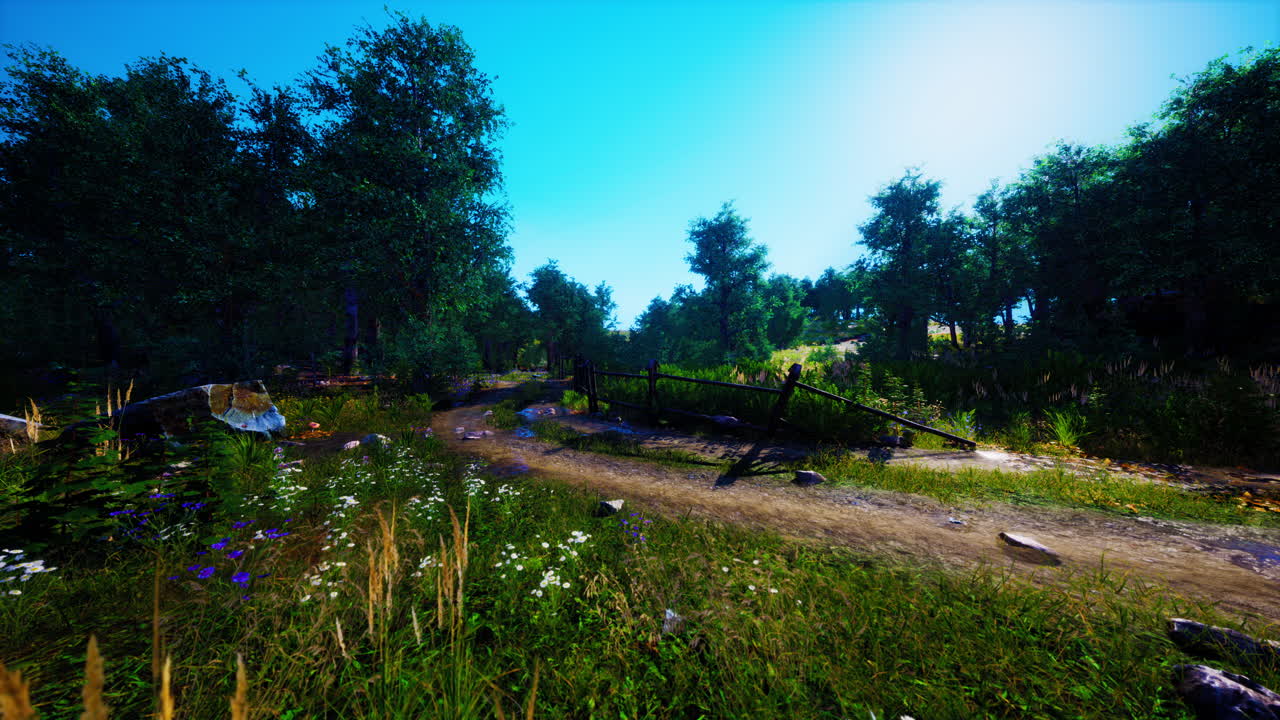 camino de tierra o camino de barro en el bosque