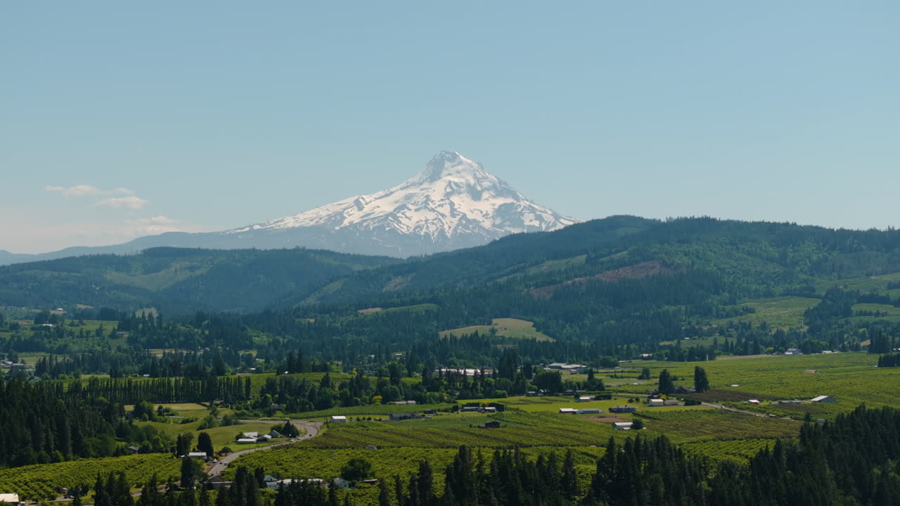 seguimiento aéreo disparado sobre el campo frente al nevado mt hood, verano en oregon