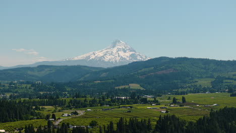 aerial tracking shot over the countryside in front of snowy mt hood, summer in oregon