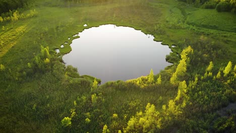 flying over wild nature with lake, green forest and fields at sunny summer day.