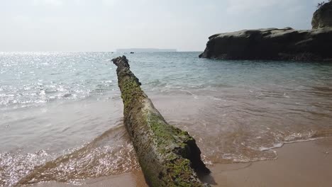 Der-Schuss-Wandert-Einen-Alten-Baumstamm-Hinunter,-Der-In-Einem-Taifun-Umgestürzt-Ist-Und-Mit-Den-Fluten-Der-Stürme-Am-Strand-Zu-Verfaulen-Beginnt