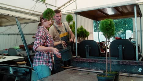 two caucasian botanists working in greenhouse over plants seedling