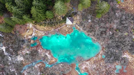 vista aérea del pedestal del lago turquesa zelenci en la reserva natural de eslovenia