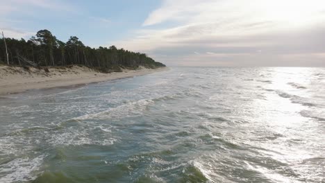 Aerial-establishing-view-of-Baltic-sea-coast,-sunny-day,-white-sand-seashore-dunes-damaged-by-waves,-pine-tree-forest,-coastal-erosion,-climate-changes,-wide-angle-drone-shot-moving-forward-low