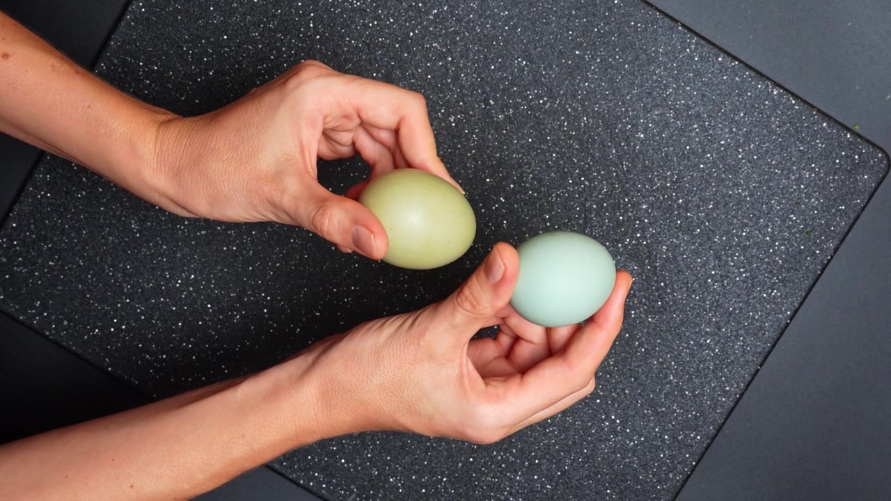 Hands holding two organic pale green and blue eggs. Overhead view of person showing a pair of naturally colored eggs over a dark speckled background.
