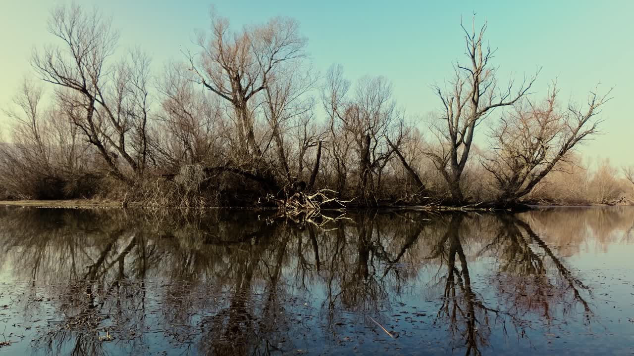 Leafless trees in winter reflect on peaceful mirror-like surface of a river.