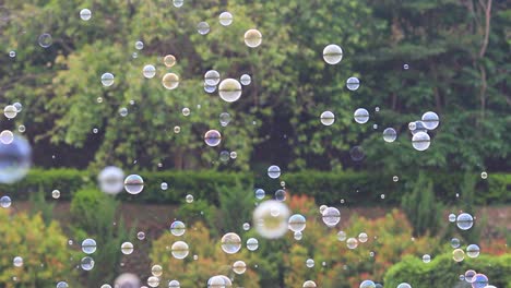 burbujas de jabón flotando en el aire con verde natural borroso fondo bokeh para niños y niños