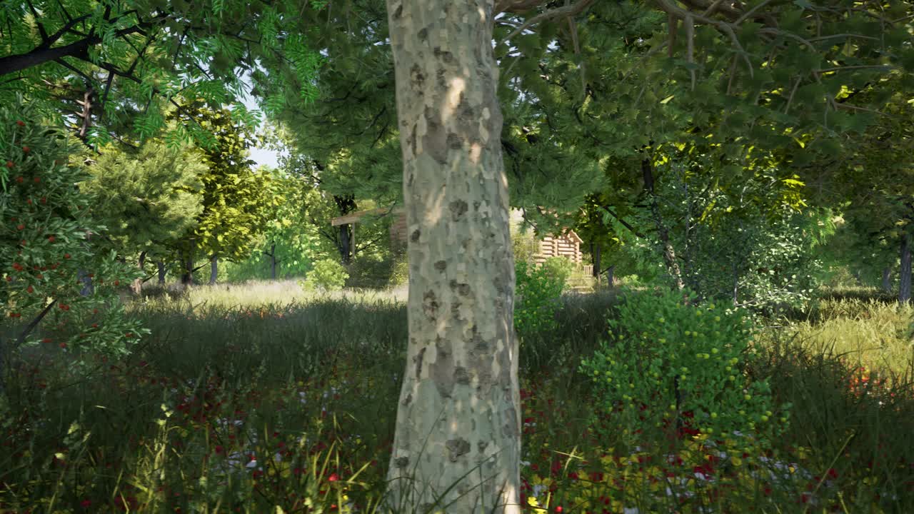 야생의 울창한 숲 안의 오래된 나무 오두막, 나비, 낮 시간, 3d 애니메이션 카메라 팬 왼쪽