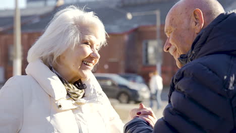 senior paar praten en hand in hand in het park op een winterdag