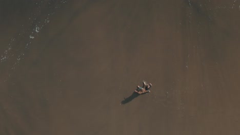 4k aerial wave coming on people on black sand beach drone overhead shot