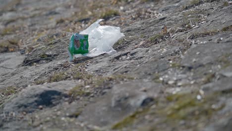plastic garbage and litter scattered on a riverbank