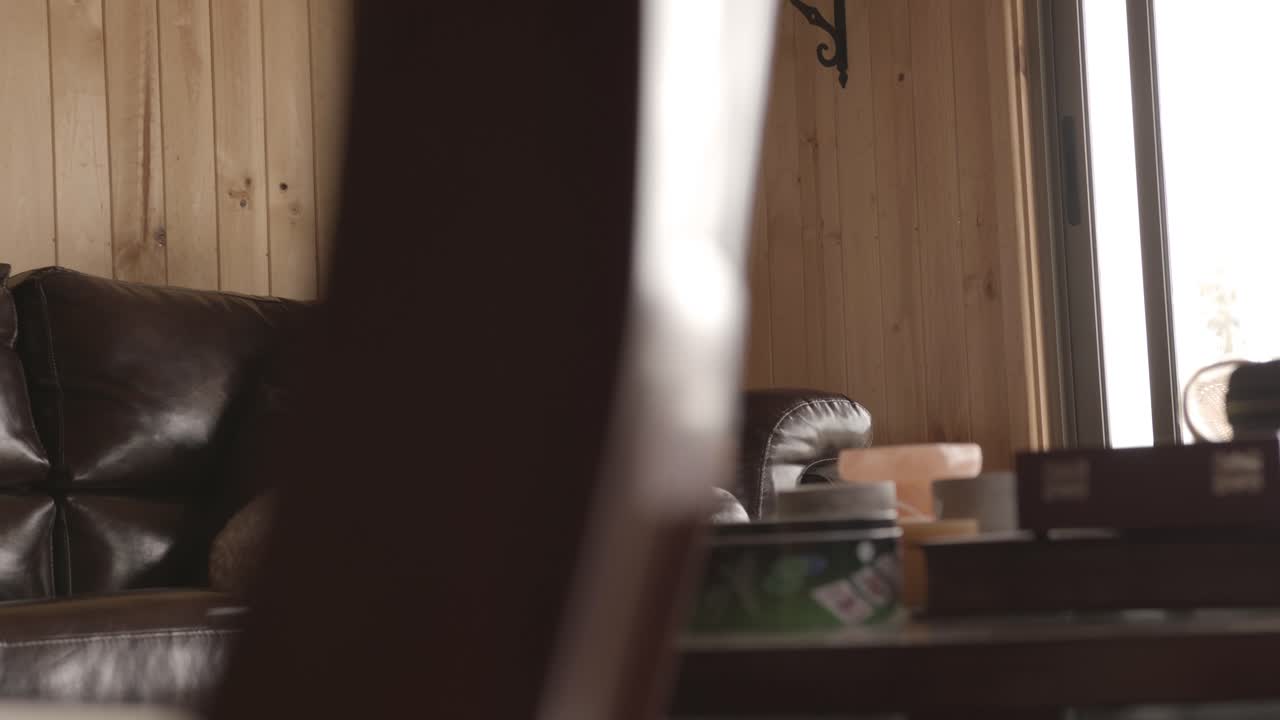 Happy little girl with her poodle dog sitting on the sofa in the living room.