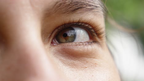 green eye of a curious girl looking to the side