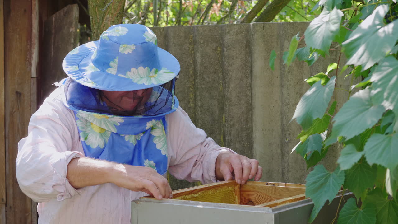 하이브 4k 비디오 근처의 양봉장에서 일하는 노인 양봉가