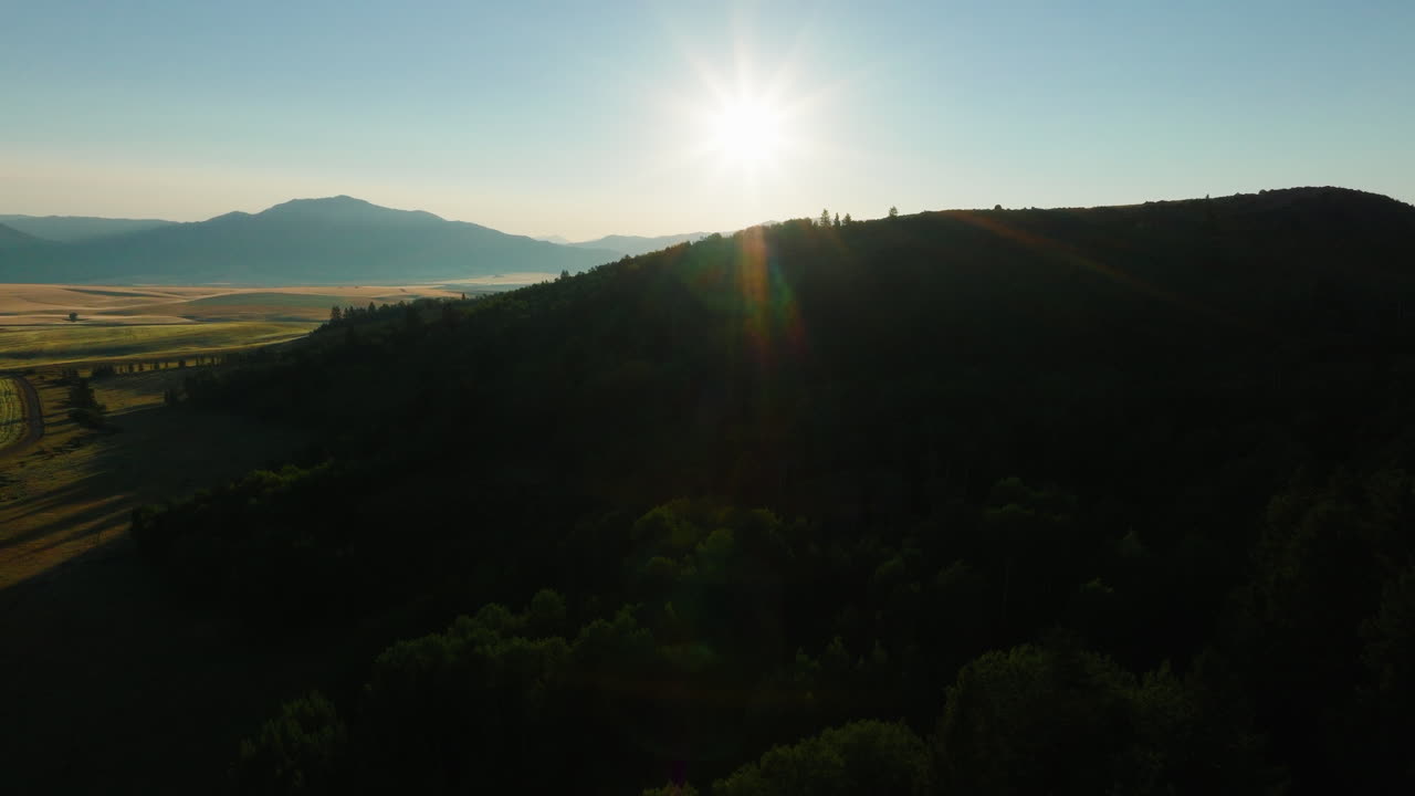 Golden Hour Over Mountain and Forest Landscape