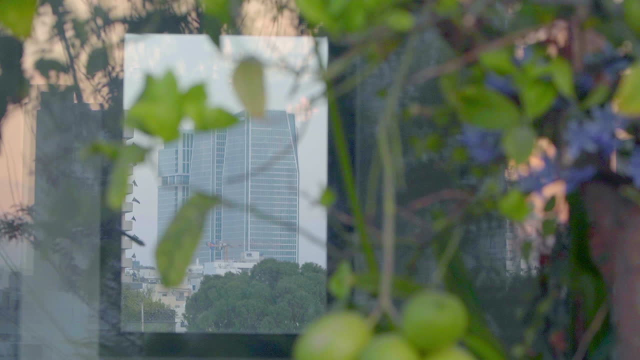 Reflection of tall glass skyscrapers is seen in the mirror, with a lemon tree in the foreground