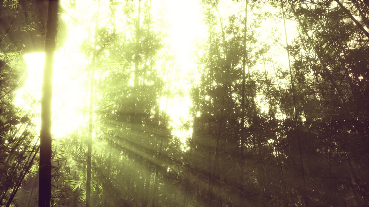 연기 속의 대나무 잎