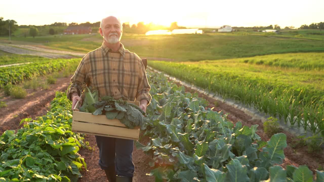 retrato de un agricultor sabio de buen aspecto caucásico de alto rango mirando a un lado, volviéndose cara a la cámara en un campo