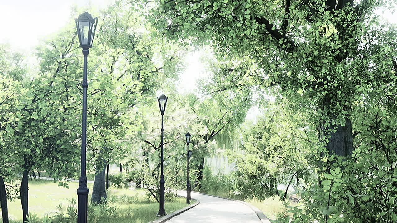 멋지고 편안한 큰 정원에서 비어있는 거리