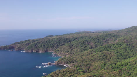 Toma-De-Establecimiento-Lento-De-La-Densa-Selva-Tropical-En-La-Isla-Cebaco