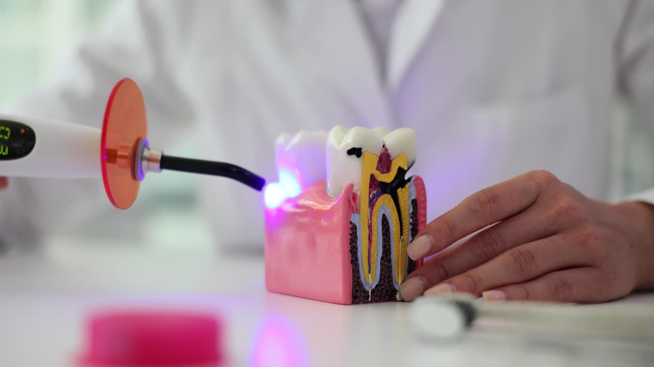 Dental Professional Demonstrating Teeth Curing with UV Light on Model