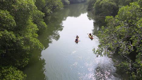 Kajak-Paddel-Ökotourismus-Sontecomapan-Mangroven