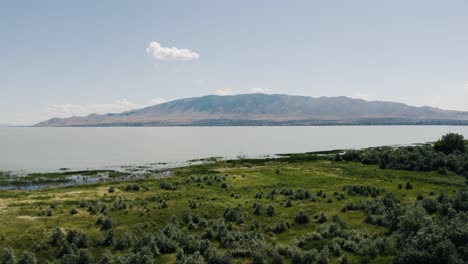 Drohnenaufnahme-Des-Utah-Lake-An-Einem-Sonnigen-Sommertag