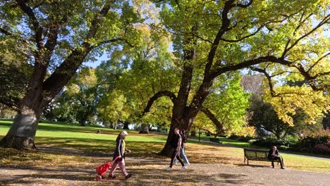 people strolling in a sunny park