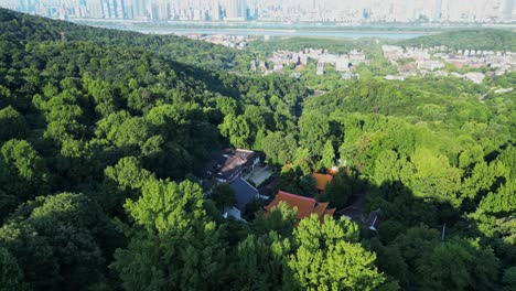 Flying-through-the-green-mountain