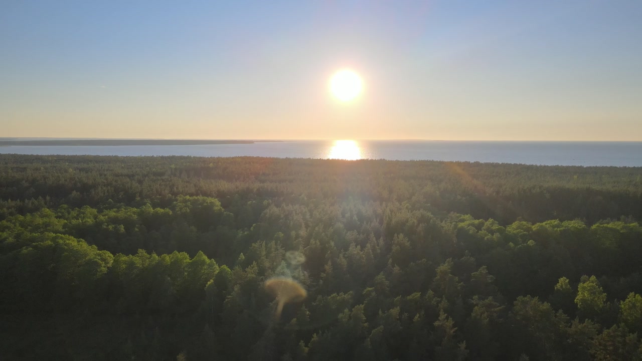 Drone Video of Summer Sunset over Tree Crowns on Sea Coast