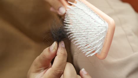 hair loss and hairbrush