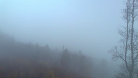 colorful tree tops shrouded in fog on a cool autumn morning