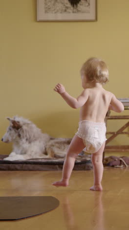 classic shot of a newly walking nappy clad toddler in a cosy house, vertical