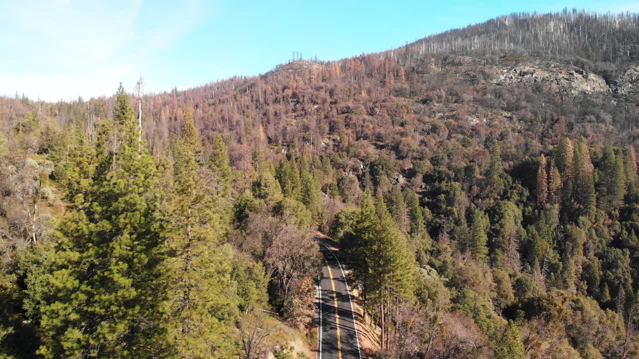 숲을 통과하는 포장된 산길을 운전하는 자동차의 4k 공중 촬영