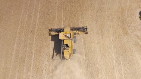 cosechadora combinada trabajando en un campo de trigo