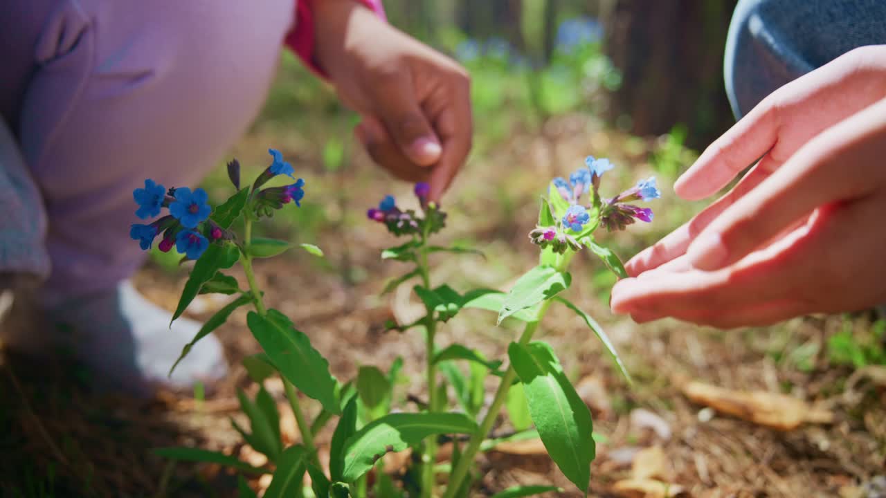 Children Exploring Flowers in a Forest