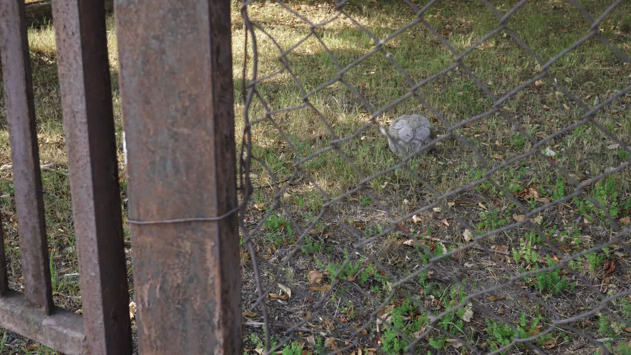 파괴된 축구, 풀밭에 홀로 누워