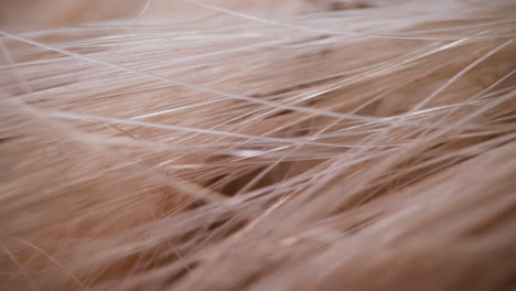 textura de cabello beige claro sintético como macro de fondo