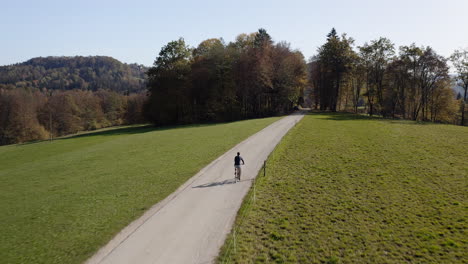 Cyclist-riding-on-a-countryside-road-near-meadows-and-wood-on-a-sunny-day,-aerial