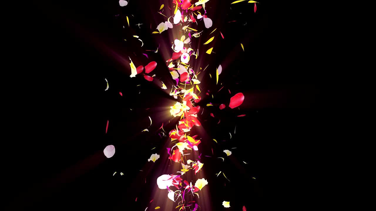 화려한 잎자루, 나선형 반이는 꽃잎, 꽃 모양, 예쁜 춤추는 꽃잎, 회전하는 꽃잎에서 소용돌이, 추상적인 루프 애니메이션.