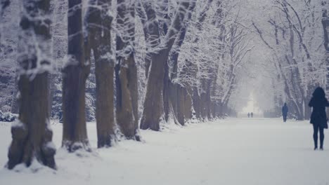 La-Primera-Nevada-En-El-Parque-De-La-Ciudad