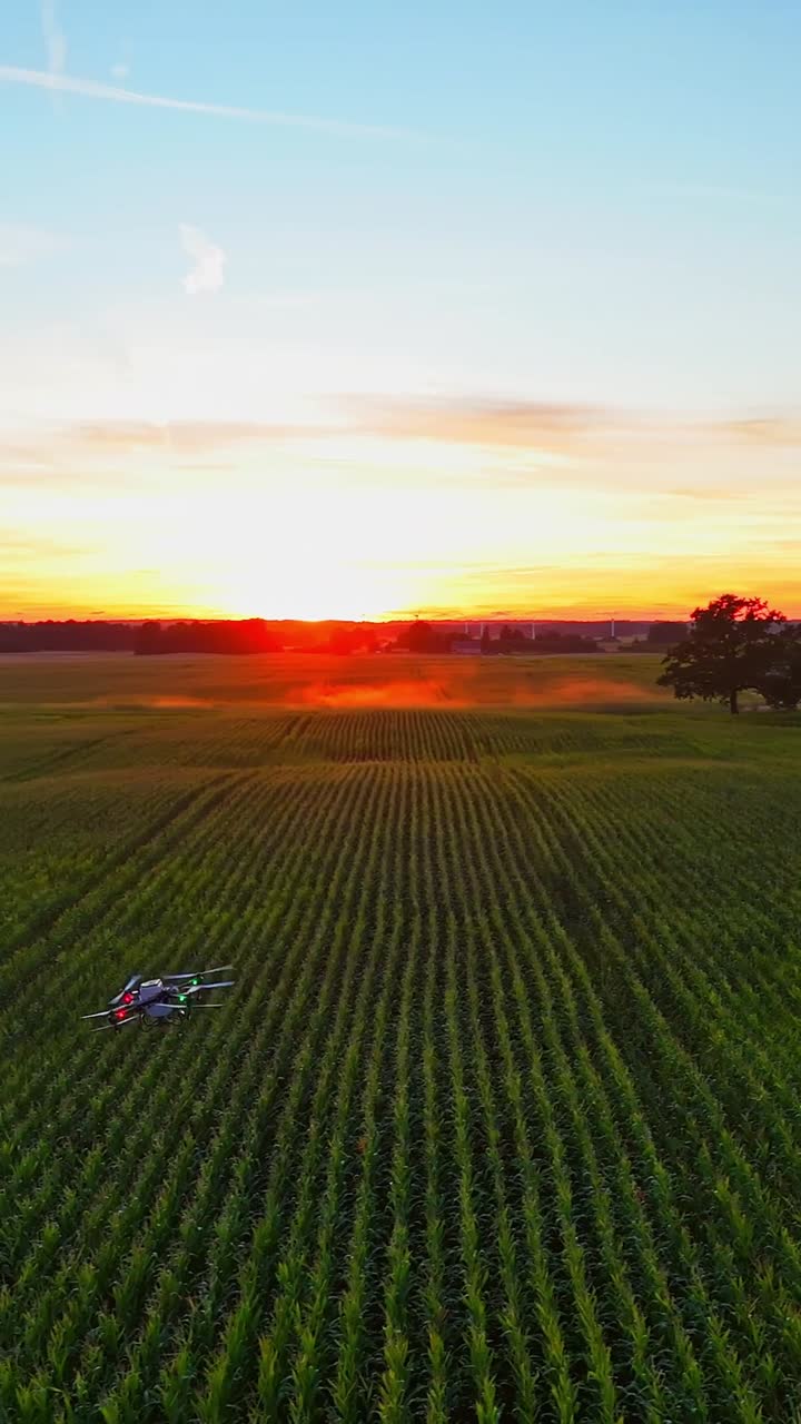 An agro drone flies over a field at sunset, used for farming and seed distribution - vertical clip