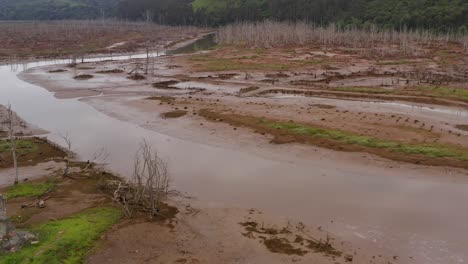 Ruinas-De-Edificios.-Pantanos-Húmedos.-Bosque-En-Descomposición.-Follaje-Escaso