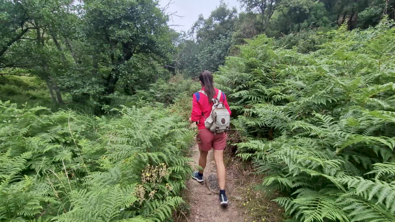 Toma de seguimiento de una mujer morena con una sudadera rosa haciendo senderismo por un bosque de helechos.
