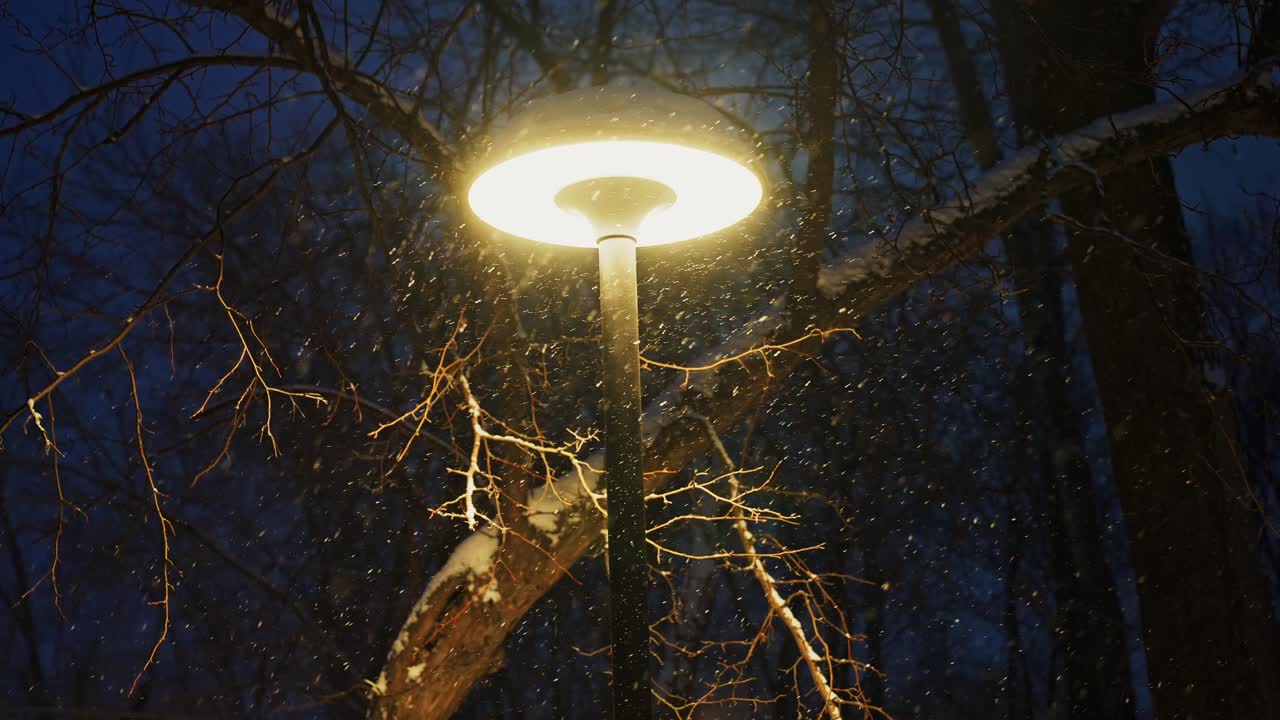 Fiocchi di neve che cadono illuminati da un lampione stradale di notte