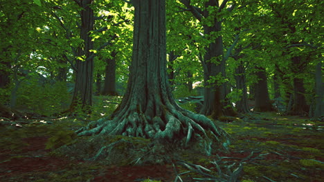 asian tropical rainforest with moss