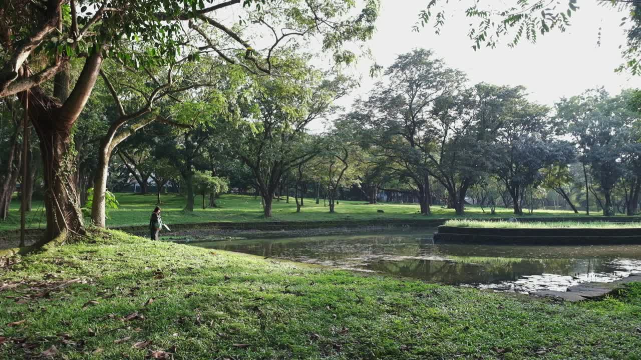parque soleado con chica junto al lago, árboles verdes, atmósfera tranquila, luz del día